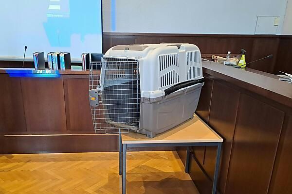 Strafen für Mutter und Nachbarin im Hundebox-Fall bestätigt