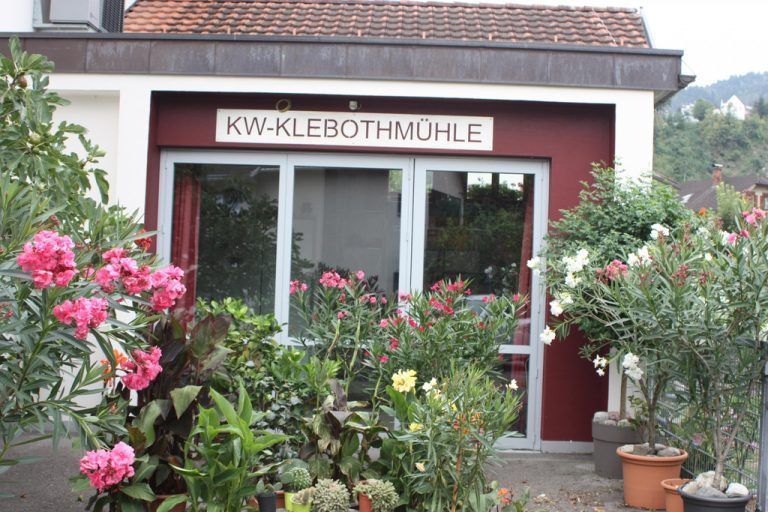 Anfang vom Mühlbach