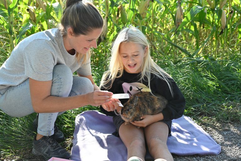 Kinder lernen leichter, wenn sie stressfrei und im Beisein von Tieren sind. - Tierische Nachhilfe-Stunden - Tierische Nachhilfe-Stunden