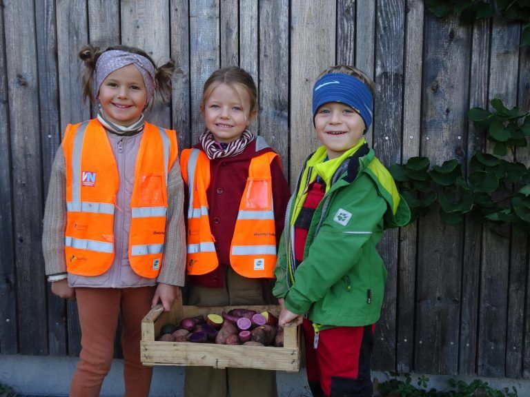 Die stolzen Kartoffeljäger Hilda, Greta und Jeremias. - Kleine Hände, große Ernte - Watzenegger Kindergartenkinder Kartoffelacker