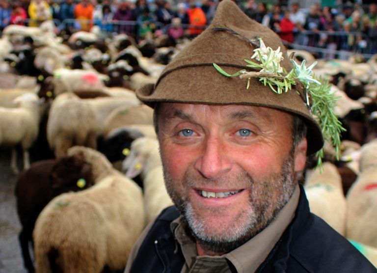 Schaufschod
