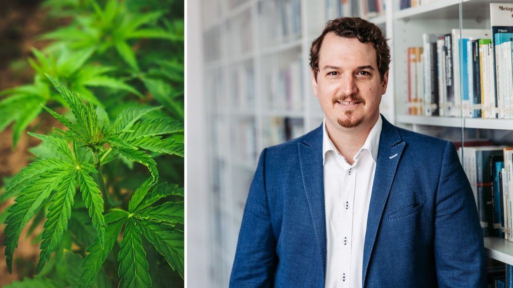 Stiftung Maria Ebene schafft neues Gruppentherapieangebot für Cannabis-Konsumenten