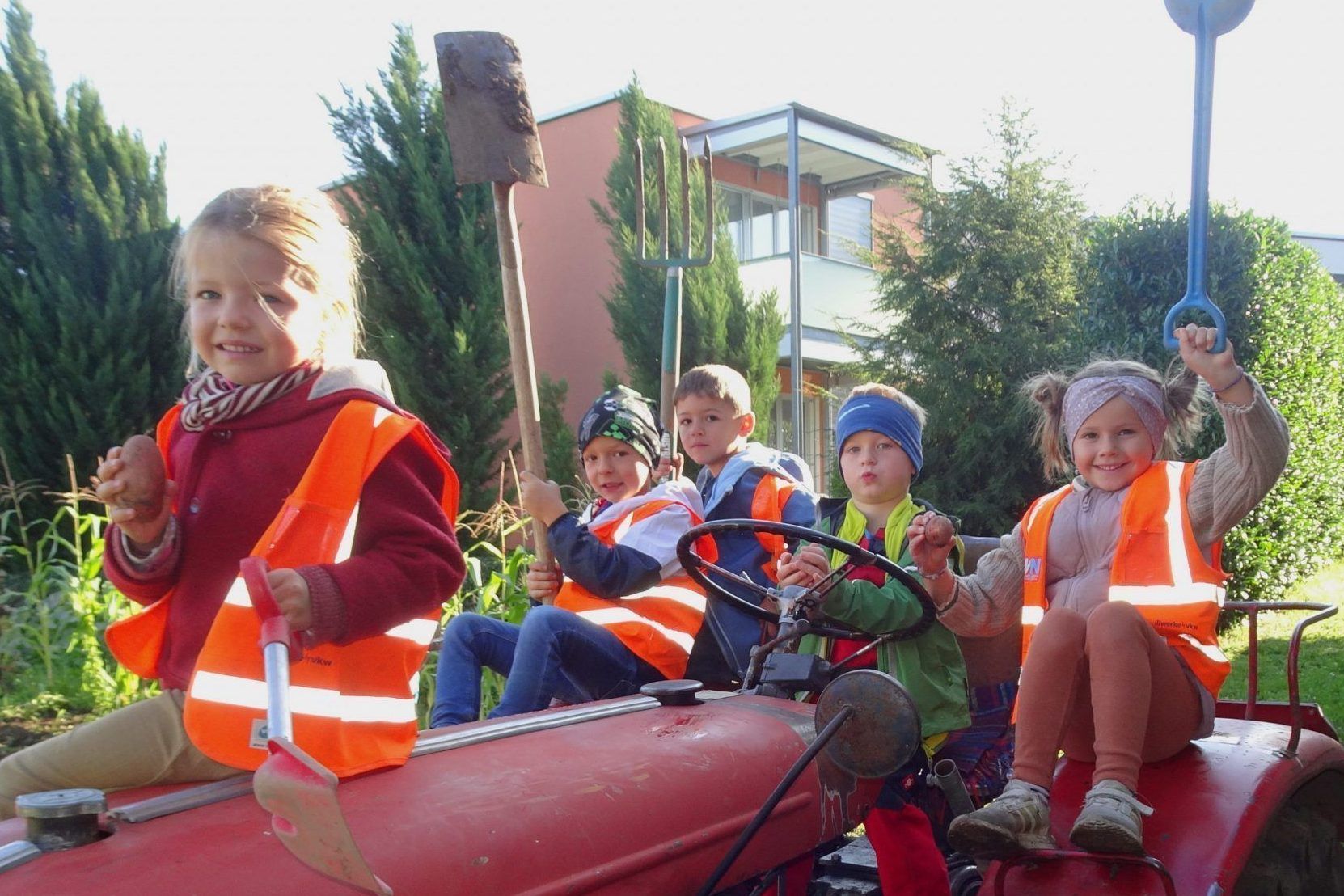 Greta Jonathan, Anton, Jeremias und Hilda vom Kindergarten Watzenegg hatten eine Menge Spaß bei der Kartoffelernte. - © cth