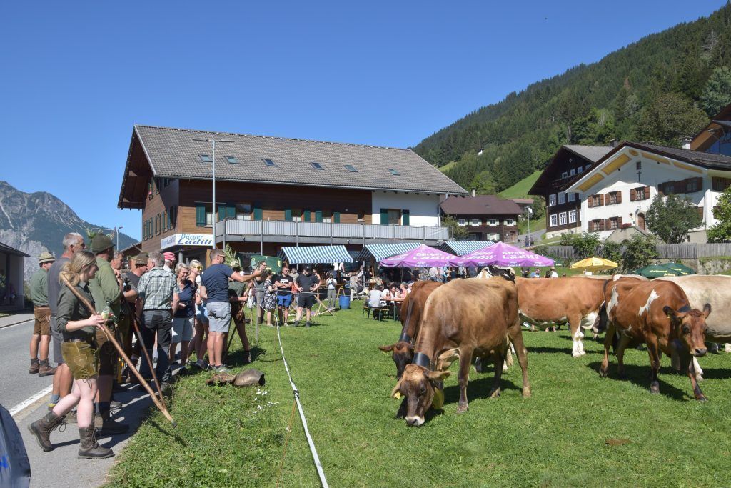 Ein „Hoch&#8221; auf Latons