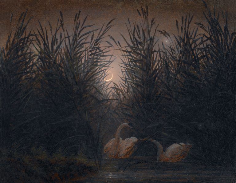 Caspar David Friedrich Schwäne im Schilf Ein Bild und seine Geschichte