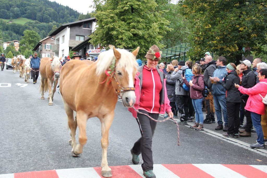 Großer Alpabtrieb lockte hunderte Besucher an