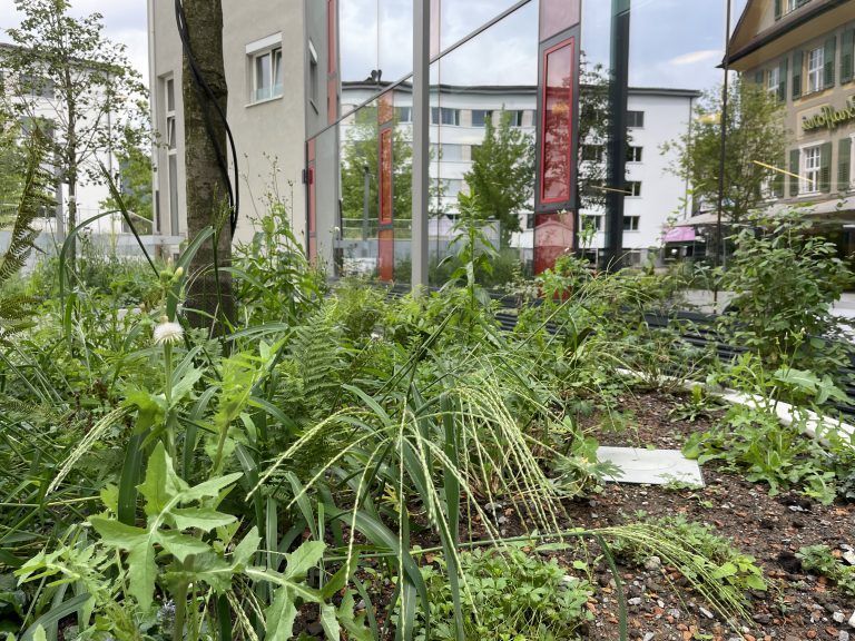 Eröffnung AK Quartier
