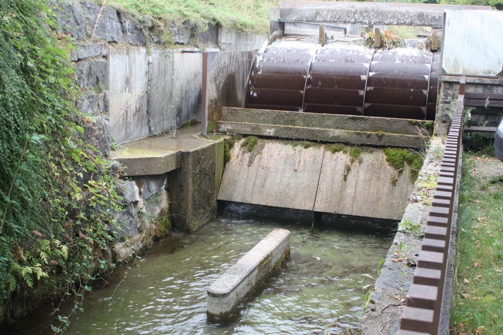 Rankweiler Mühlbach dient als Energielieferant