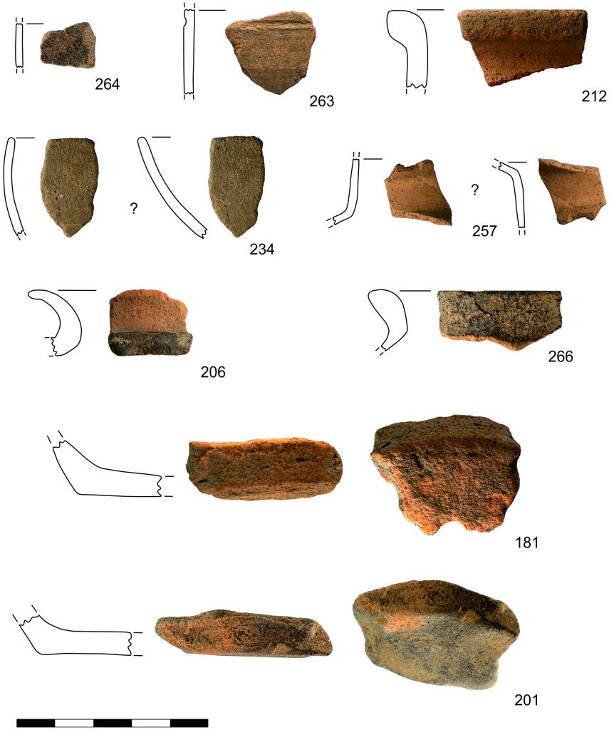 Archäologische Ausgrabungen im Montafon: „Das ist einzigartig für den Alpenraum“