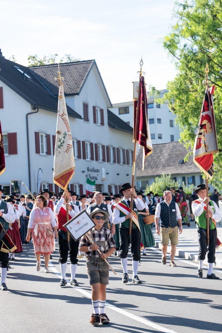 Landesmusikfest Umzug12687
