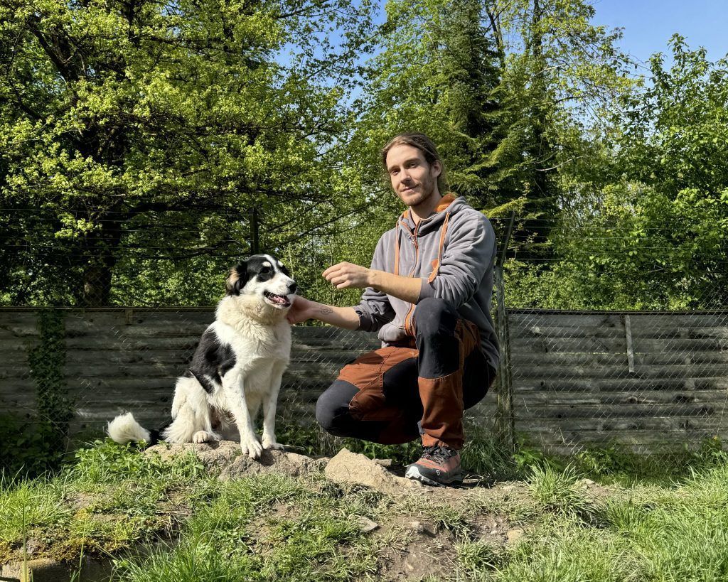 Der liebe Medo freut sich auf neue Abenteuer