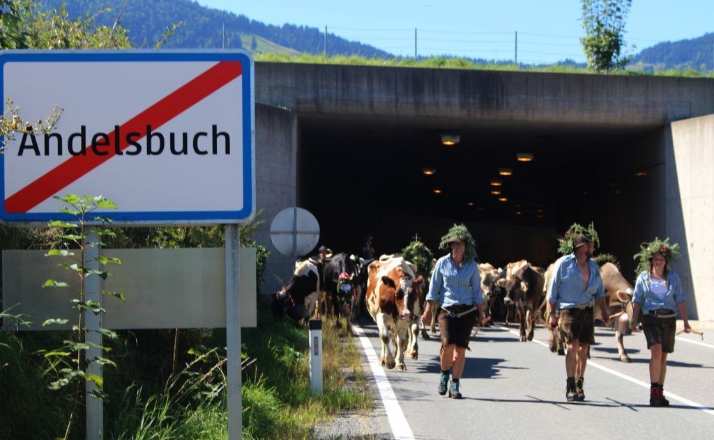 Das letzte große „Huozüho“ im Wald