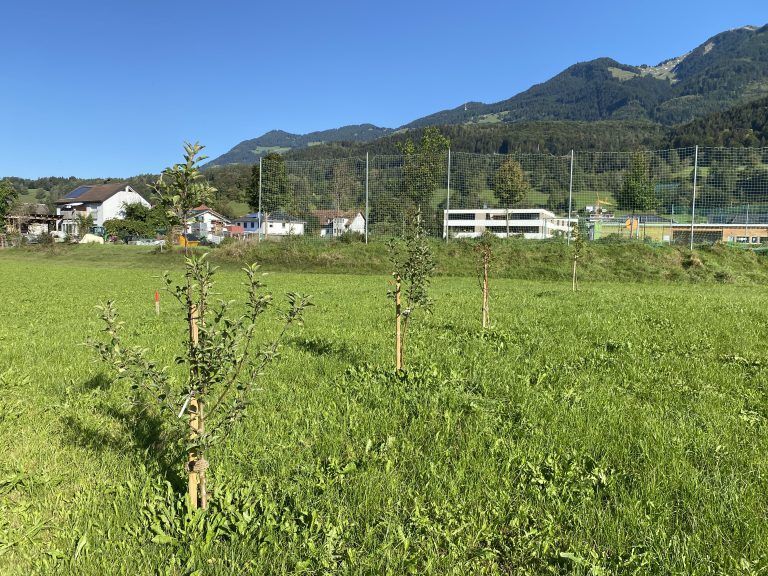 Pilzzuchtanlage Bludesch, Anrainer, Carina und Joachim Tschann, Pilzduo
