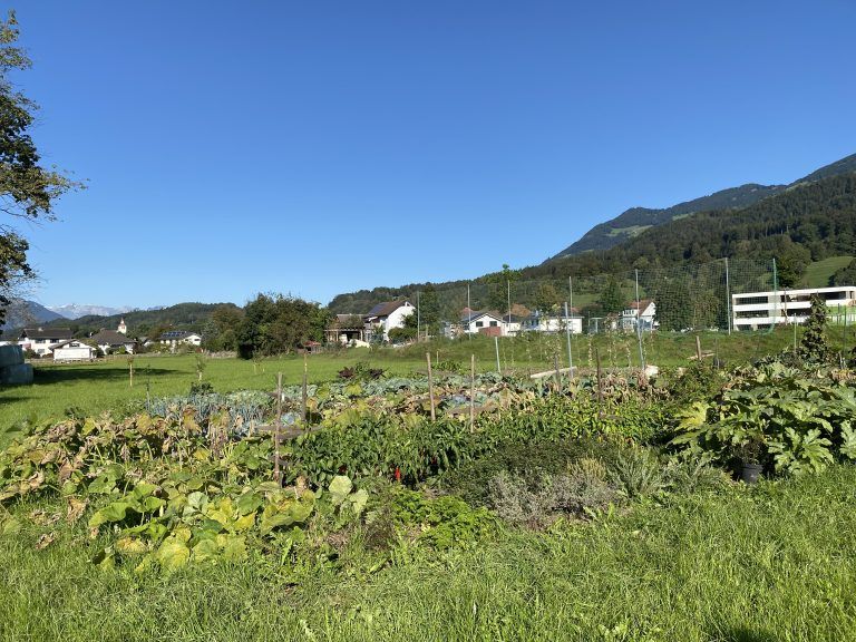 Pilzzuchtanlage Bludesch, Anrainer, Carina und Joachim Tschann, Pilzduo