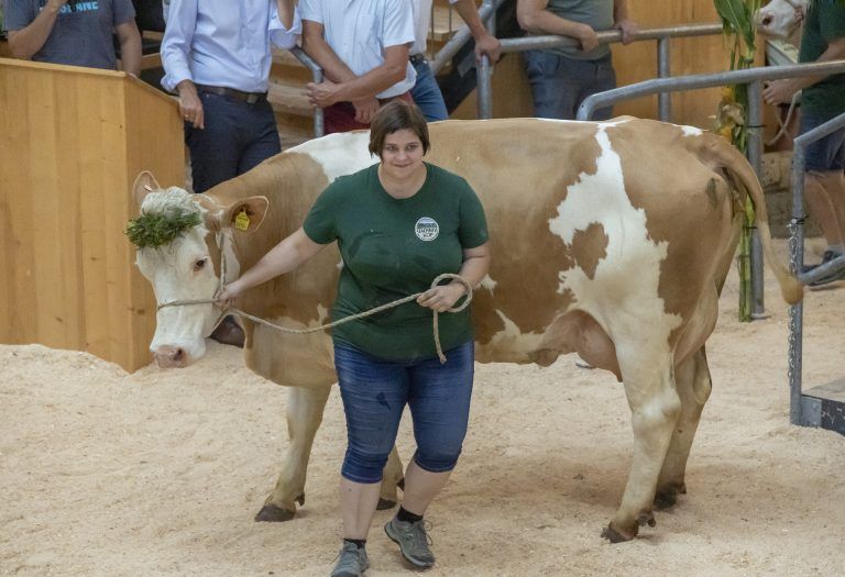 Traktor Oldtimer Ausstellung, Tiervorführungen i Tag der Landwirtschaft