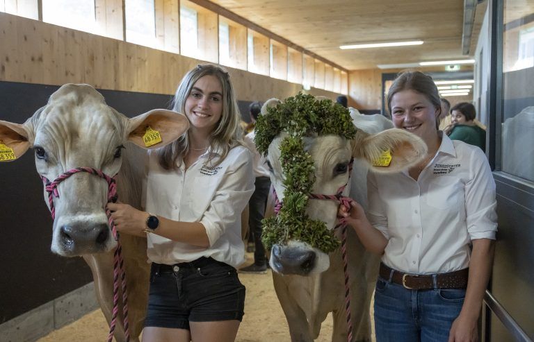Traktor Oldtimer Ausstellung, Tiervorführungen i Tag der Landwirtschaft