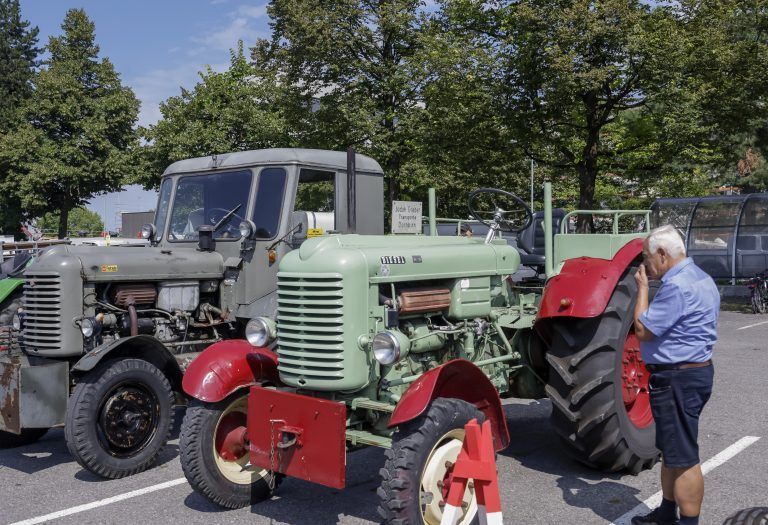 Traktor Oldtimer Ausstellung, Tiervorführungen i Tag der Landwirtschaft