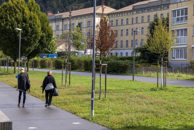 Haltestelle Bregenz-Hafen Lokalaugenschein – warum der Ausbau aus Sicht der ÖBB nötig und sinnvoll ist und was genau gemacht werden sol