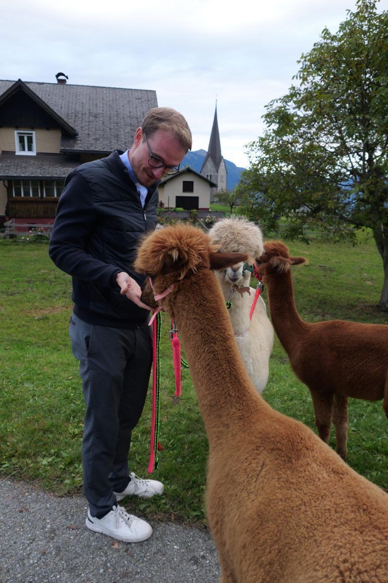 Kaplan Mathias Bitsche nahm sich auch Zeit, die Alpakas zu füttern. - Feierliche Tiersegnung in Gurtis - Tiersegnung