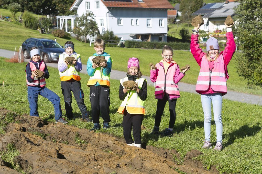 Hier bauten Volksschulkinder ihr eigenes Korn an