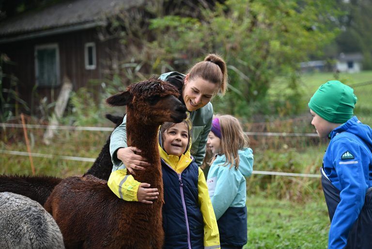 Während dem Lernen dürfen die Kinder auch die Alpakas streicheln. - Mit Tieren und an frischer Luft lernt‘s sich leichter - Mit Tieren und an frischer Luft lernt‘s sich leichter