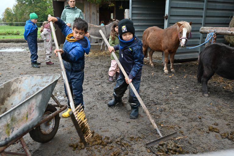 Die Kinder dürfen den Tieren den Stall säubern. - Mit Tieren und an frischer Luft lernt‘s sich leichter - Mit Tieren und an frischer Luft lernt‘s sich leichter