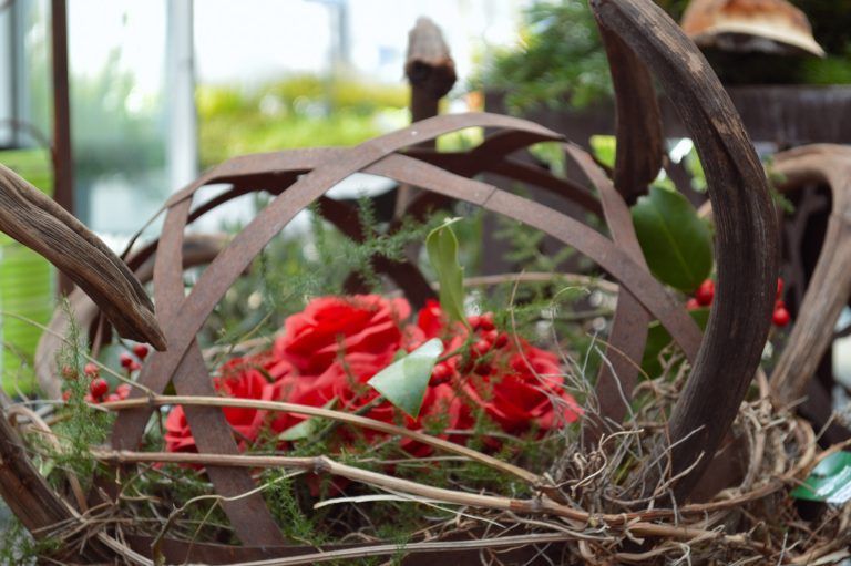 Trends Allerheiligen