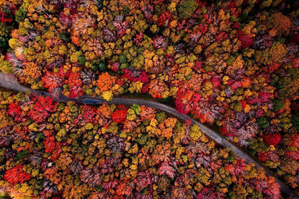 Hier leuchtet der Herbst besonders schön