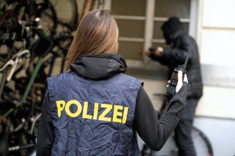 Dämmerungseinbrecher