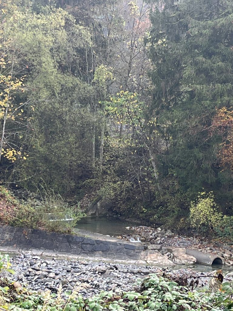 Mühletobelbach, Verpachtung