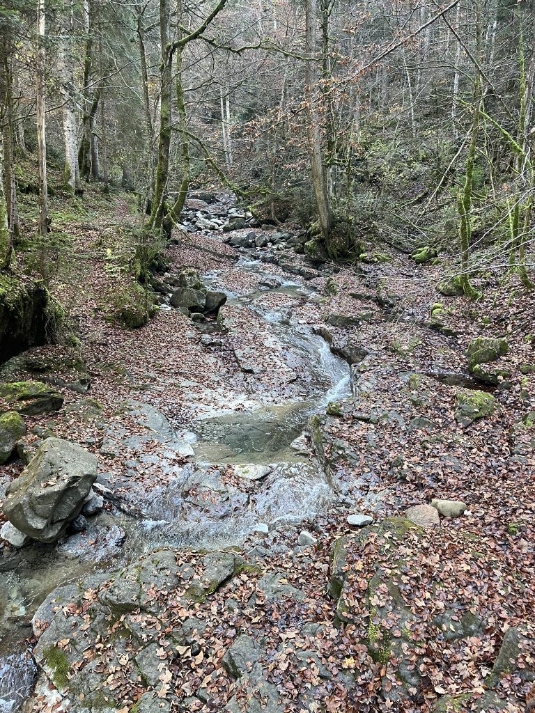 Mühletobelbach, Verpachtung