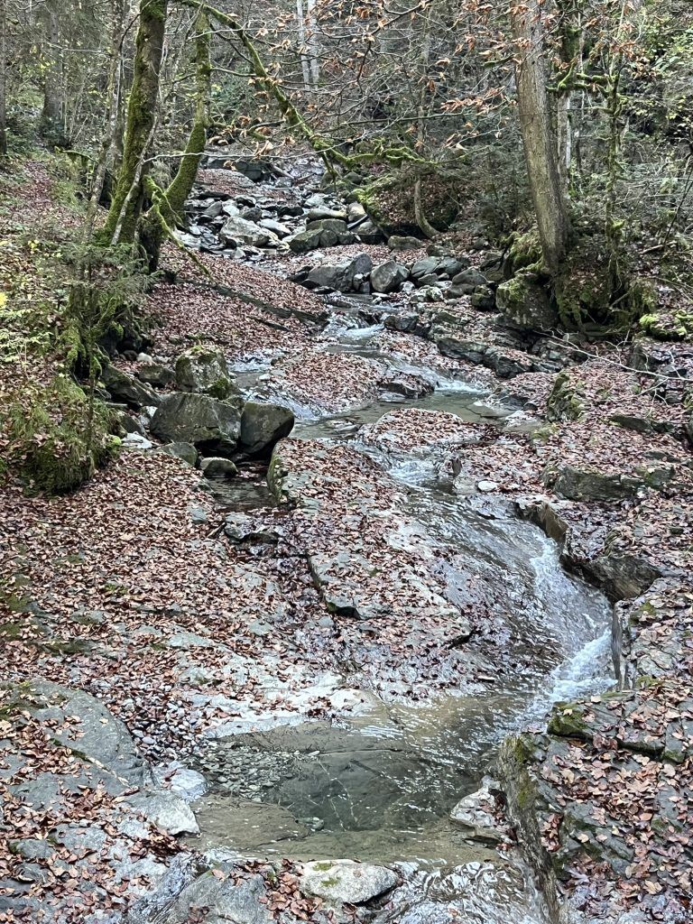 Mühletobelbach, Verpachtung
