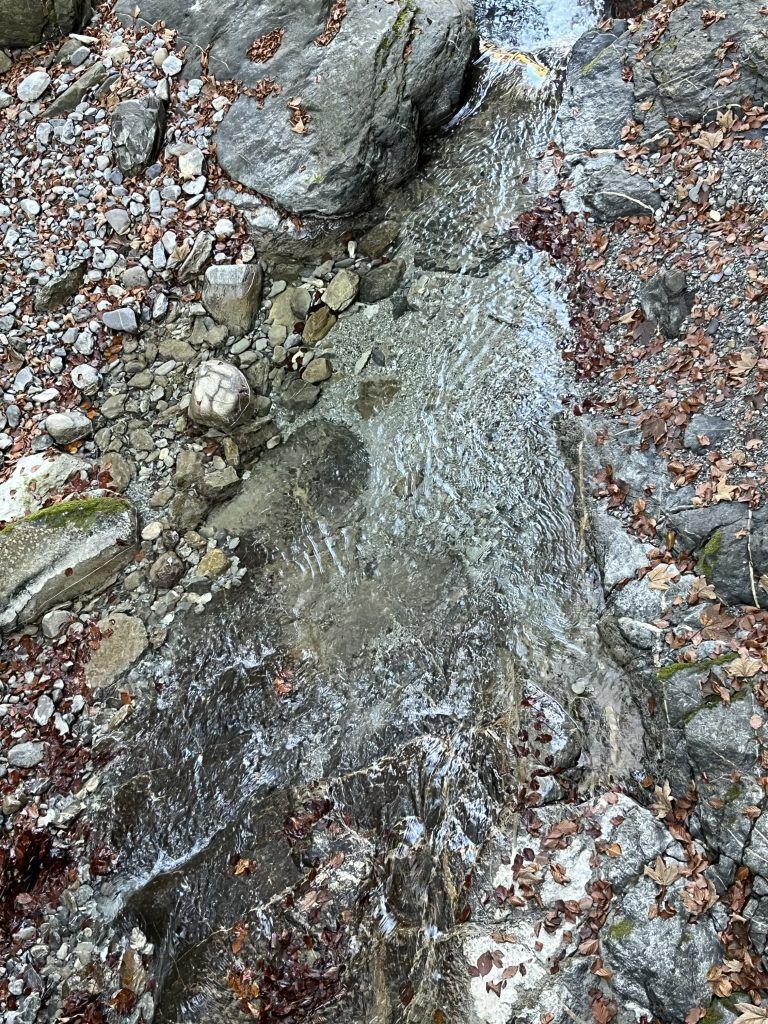 Mühletobelbach, Verpachtung