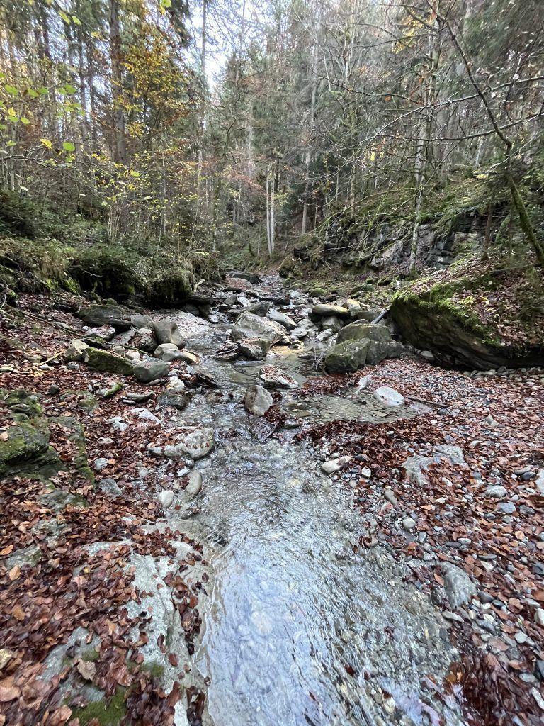 Mühletobelbach, Verpachtung