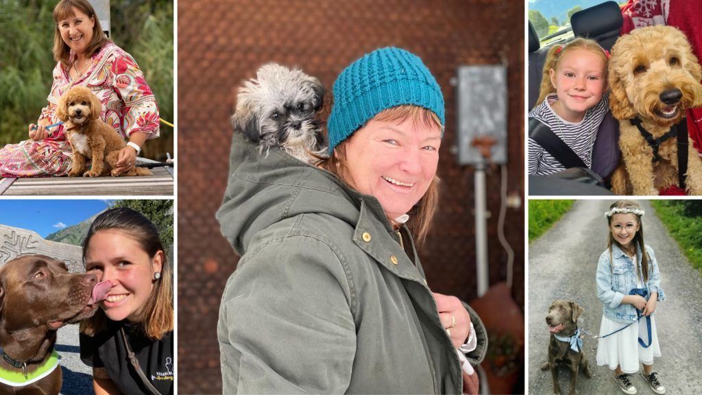 Welthundetag: Das sind die besten Fotos der VN-Leser