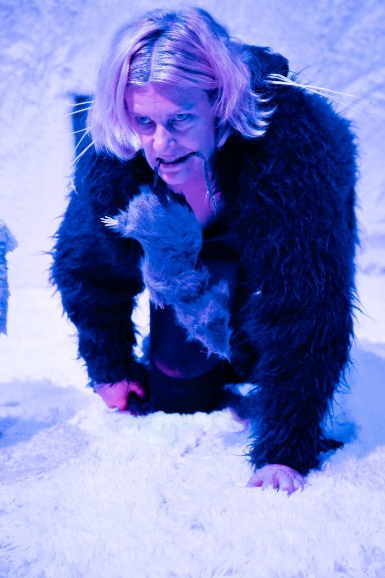 Die Katze Elenore