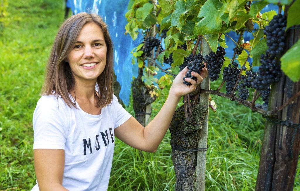 „Blauburgunder funktioniert gut bei uns&#8221; &#8211; Mit Feldkircher Winzerin Simone Aberer im Weingarten