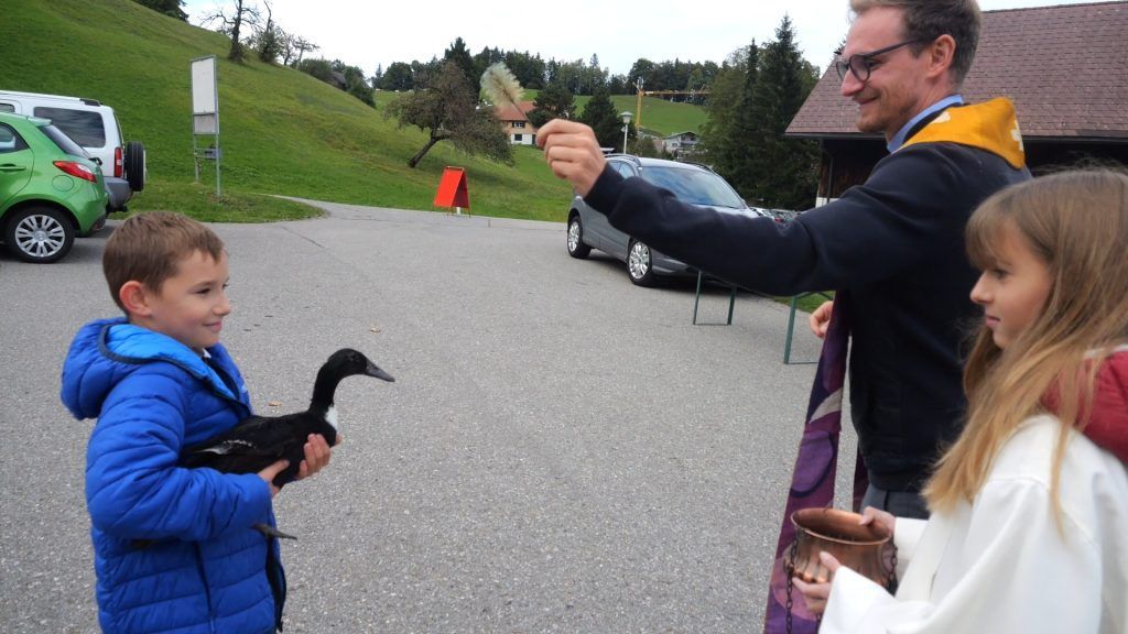 Gottes Segen für Gurtiser Tiere