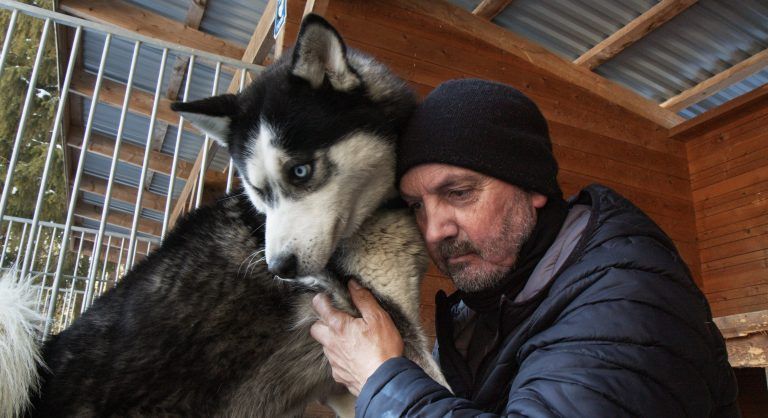 Husky Toni