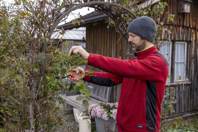 Gärtnerei Angeloff und Bioladen Angeloff wie man den Garten Winterfit mach Tips und Tricks
