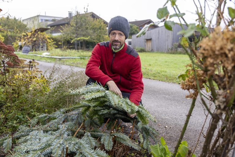 Gärtnerei Angeloff und Bioladen Angeloff wie man den Garten Winterfit mach Tips und Tricks