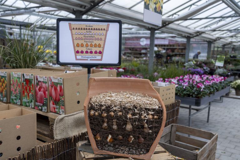 Gärtnerei Angeloff und Bioladen Angeloff wie man den Garten Winterfit mach Tips und Tricks