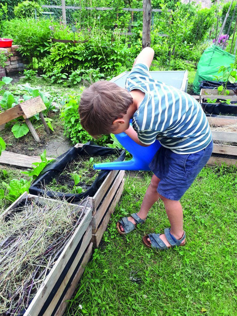 Grünes Klassenzimmer für unsere Kinder