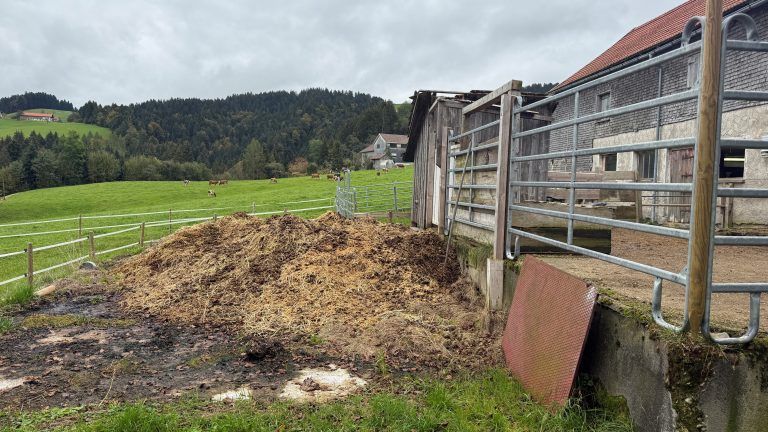 Rudi Längle Sulzberg Hof Tierhilfe