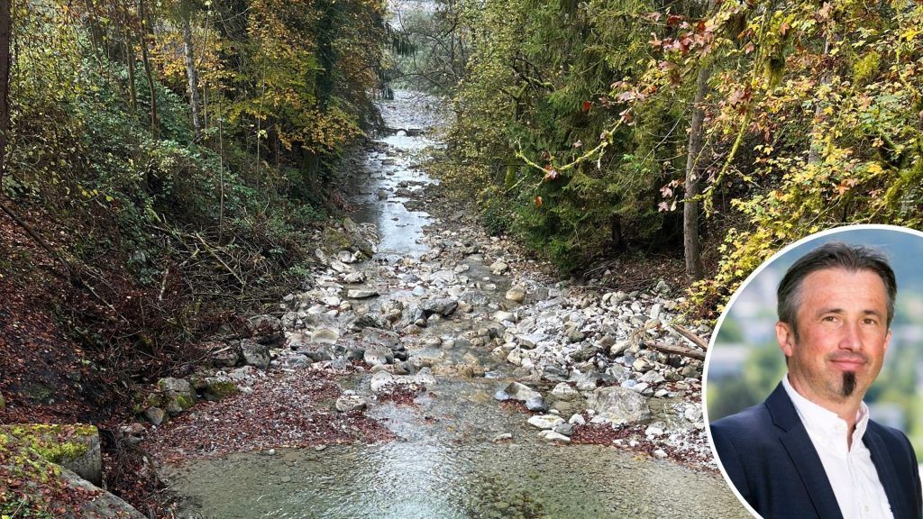 Verpachtung des Fischereirechts am Mühltobelbach: Chance für Angler und Fischereibetriebe