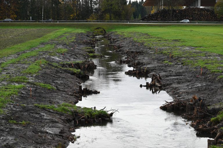 Bei dem renaturierten Abschnitt wurden beste Bedingungen für die Fische im Neuner geschaffen. - Ein Stück Kanal zurück in naturnahen Zustand gebracht - Ein Stück Kanal zurück in naturnahen Zustand gebracht