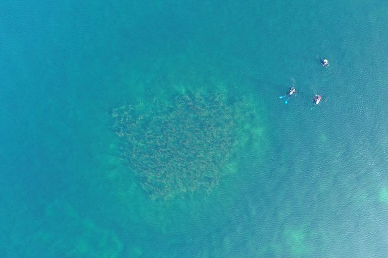 Unterwasserhügel Bodensee