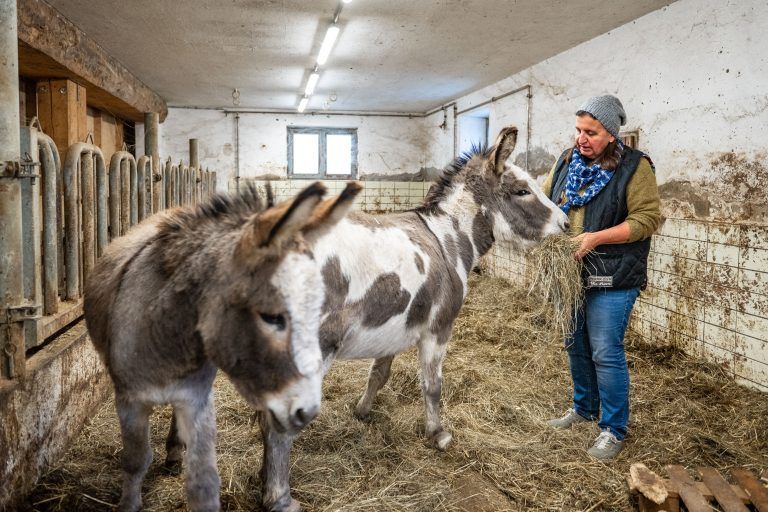 Monika Ebenhoch, Seminarbäuerin, Schule am Bauernhof. Bauernhof Bur Pur in Röthis, Vorarlbergerin des Tages