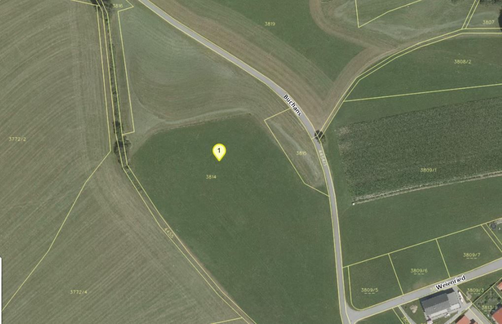 Land Vorarlberg: data.vorarlberg.gv.at, BEV (DKM)