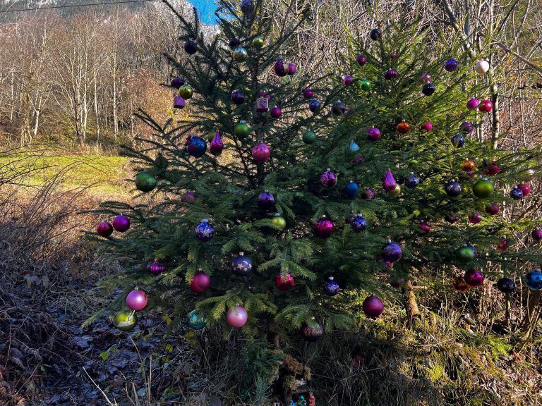 Weihnachtswald St. Anton